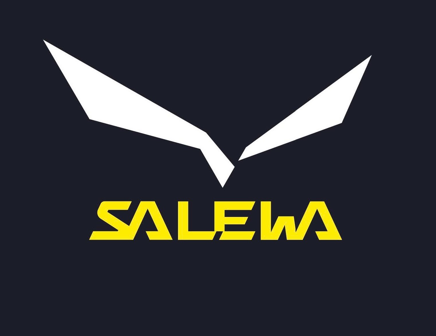 SALEWA FRANCE